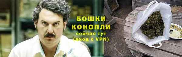 прущие грибы Алзамай
