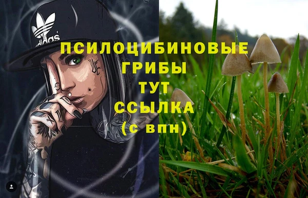 мефедрон мука Алексеевка