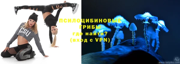трава Алексин
